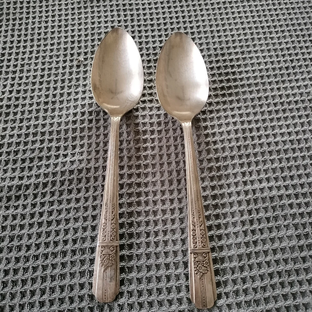 William Rogers Vintage Silverplated 1 Pie Server 2 Spoons Wild Rose Oneida